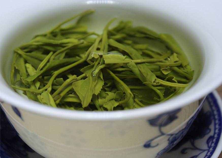 怎么有這么多叫“雪芽”的茶！它們都是綠茶嗎？