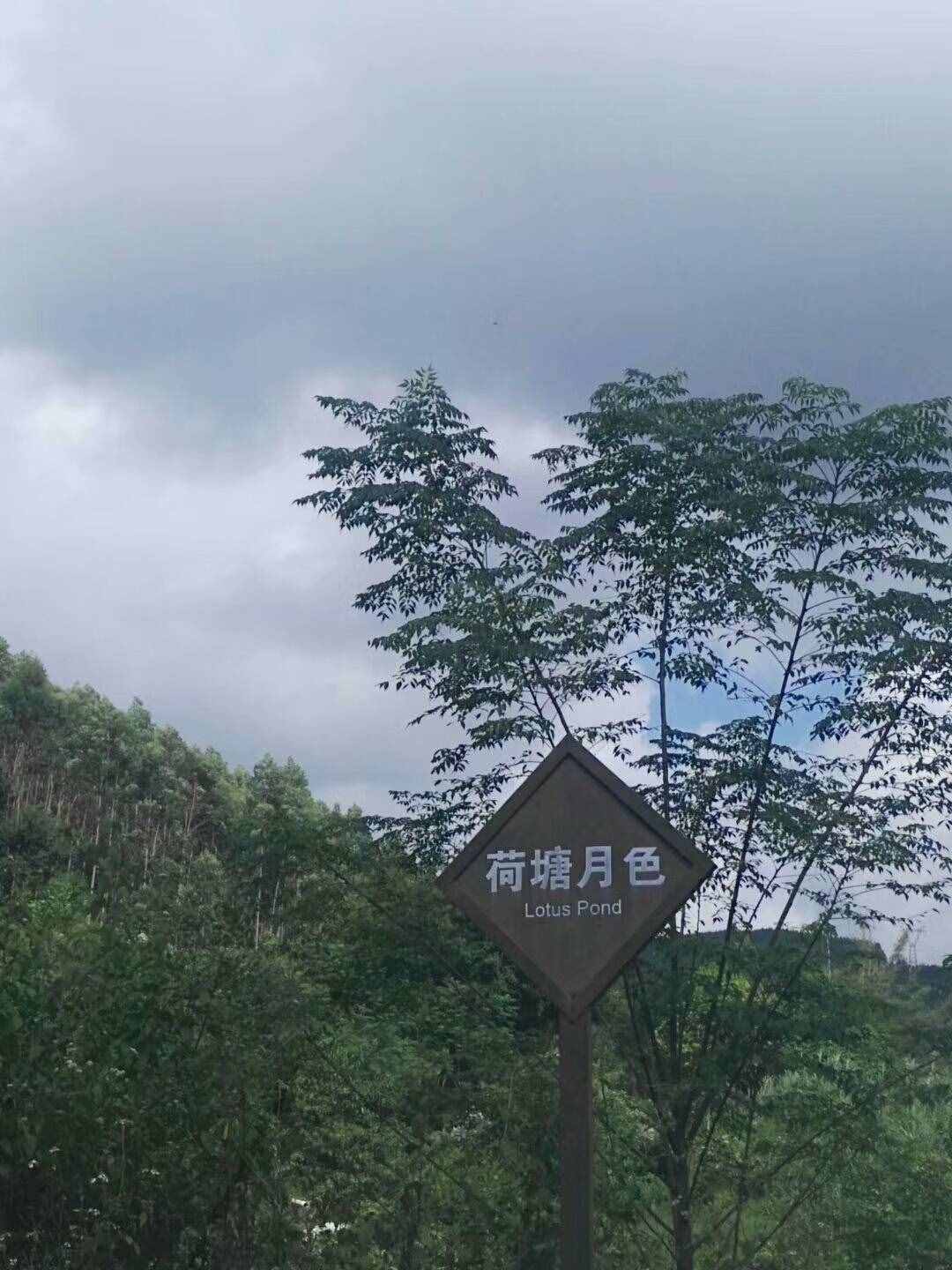 過(guò)去的日子如輕煙