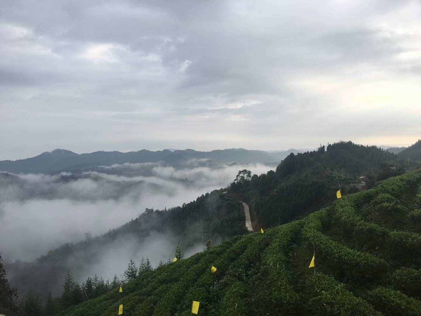 過(guò)去的日子如輕煙