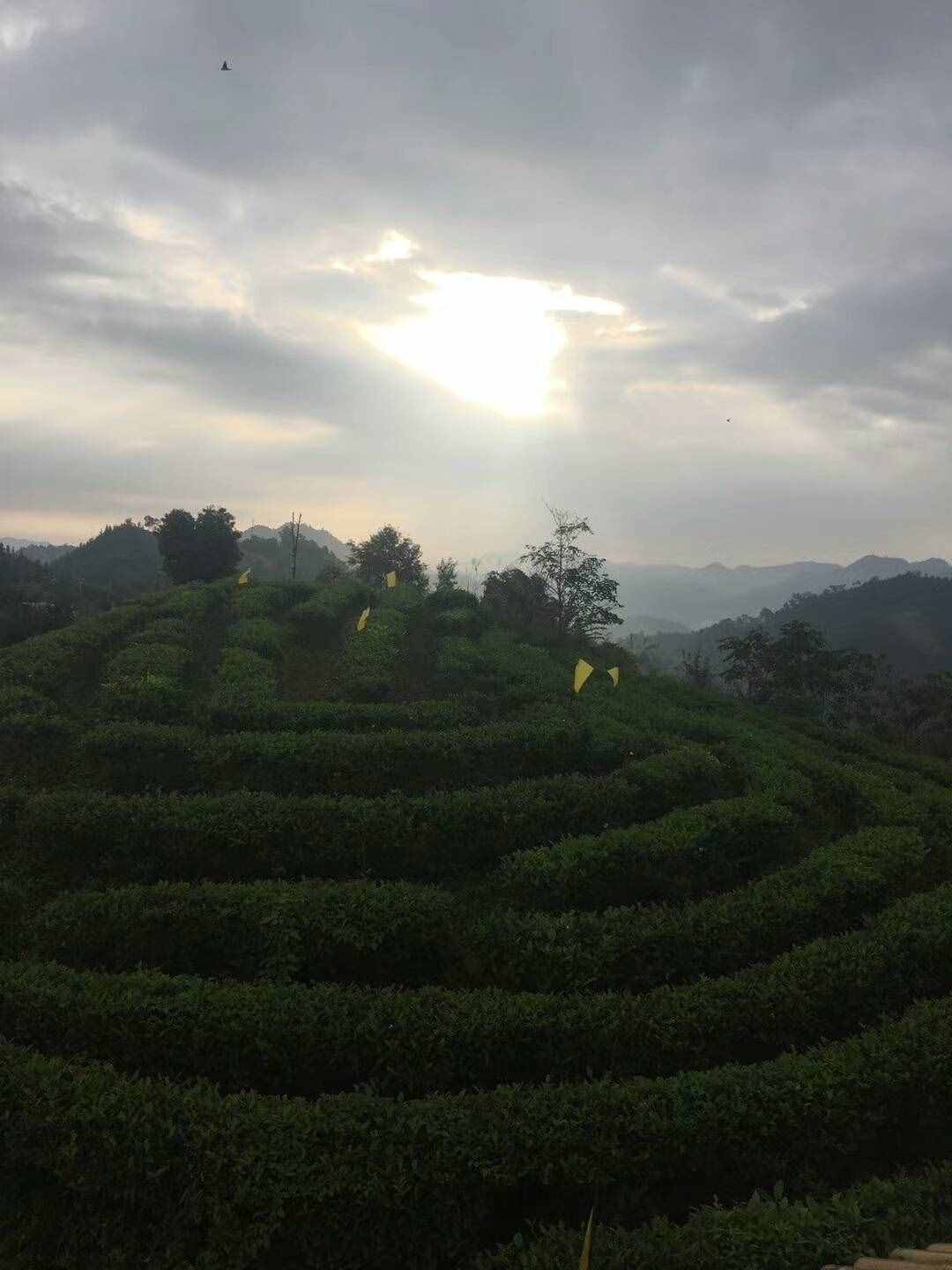 過(guò)去的日子如輕煙
