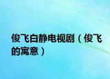 俊飛白靜電視?。★w的寓意）