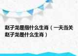 趙子龍是指什么生肖（一夫當關(guān)趙子龍是什么生肖）