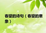 春望的詩句（春望的意象）