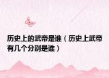 歷史上的武帝是誰（歷史上武帝有幾個(gè)分別是誰）