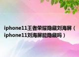 iphone11王者榮耀隱藏劉海屏（iphone11劉海屏能隱藏嗎）