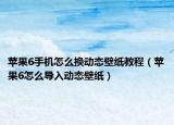 蘋果6手機怎么換動態(tài)壁紙教程（蘋果6怎么導入動態(tài)壁紙）