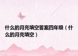 什么的月亮填空答案四年級（什么的月亮填空）