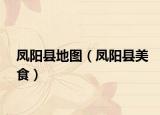 鳳陽縣地圖（鳳陽縣美食）
