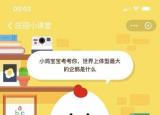今日更新最大的企鵝叫什么（世界上體型最大的企鵝是）