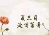 今日更新夏天養(yǎng)生之道（內(nèi)經(jīng)中的夏季養(yǎng)生之道）