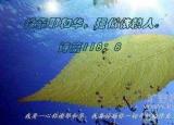 今日更新依靠耶和華（依靠耶和華歌曲）