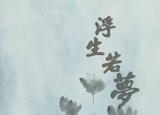今日更新美卡芬艾（那些漂洋過(guò)海的洋品牌）