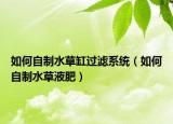 如何自制水草缸過濾系統(tǒng)（如何自制水草液肥）