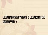 上海的霧霾嚴重嗎（上海為什么霧霾嚴重）