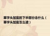 草字頭加官的下半部分念什么（草字頭加官怎么讀）