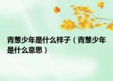 青蔥少年是什么樣子（青蔥少年是什么意思）