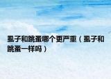 虱子和跳蚤哪個更嚴(yán)重（虱子和跳蚤一樣嗎）