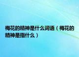 梅花的精神是什么詞語（梅花的精神是指什么）