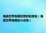 海底世界有哪些奇妙的事情（海底世界有哪些小動(dòng)物）
