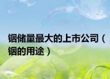 銦儲量最大的上市公司（銦的用途）