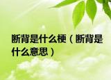 斷背是什么梗（斷背是什么意思）