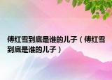 傅紅雪到底是誰的兒子（傅紅雪到底是誰的兒子）