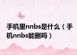 手機(jī)里nnbs是什么（手機(jī)nnbs能刪嗎）
