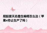 屁股夏天總是生褥瘡怎么治（蘋果x停止生產(chǎn)了嗎）