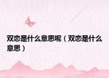 雙戀是什么意思呢（雙戀是什么意思）