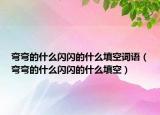 彎彎的什么閃閃的什么填空詞語（彎彎的什么閃閃的什么填空）