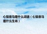 心猿意馬是什么詞語（心猿意馬是什么生肖）