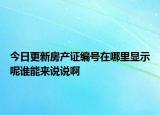 今日更新房產(chǎn)證編號在哪里顯示呢誰能來說說啊