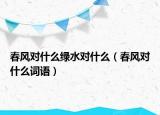 春風(fēng)對什么綠水對什么（春風(fēng)對什么詞語）