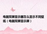電腦雙屏顯示器怎么顯示不同壁紙（電腦雙屏顯示屏）