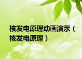 核發(fā)電原理動(dòng)畫(huà)演示（核發(fā)電原理）