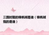 三國時期的錦帆賊是誰（錦帆賊指的是誰）