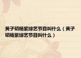 黃子韜楊紫綜藝節(jié)目叫什么（黃子韜楊紫綜藝節(jié)目叫什么）