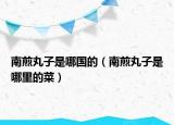 南煎丸子是哪國的（南煎丸子是哪里的菜）