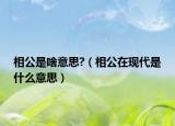 相公是啥意思?（相公在現(xiàn)代是什么意思）