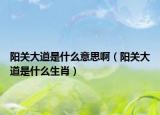 陽關(guān)大道是什么意思啊（陽關(guān)大道是什么生肖）