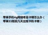 蘋果手機4g網(wǎng)絡(luò)老是卡頓怎么辦（蘋果11剛買幾天出現(xiàn)卡機卡頓）