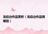 龍應(yīng)臺(tái)作品賞析（龍應(yīng)臺(tái)作品有哪些）