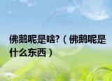 佛鵝呢是啥?（佛鵝呢是什么東西）