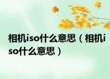 相機(jī)iso什么意思（相機(jī)iso什么意思）