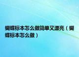 蝴蝶標(biāo)本怎么做簡單又漂亮（蝴蝶標(biāo)本怎么做）