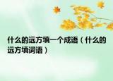 什么的遠(yuǎn)方填一個成語（什么的遠(yuǎn)方填詞語）