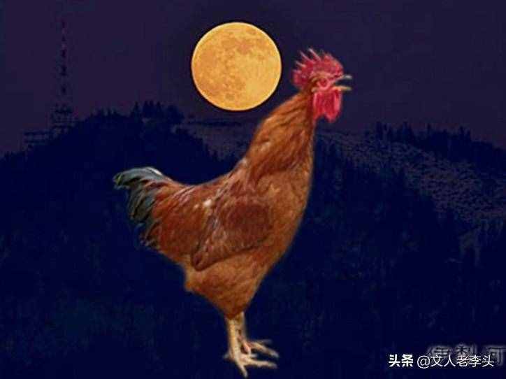 上聯(lián)：金雞報曉生陽蛋！求下聯(lián)？