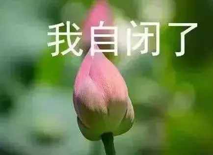 父母的裝修日記，看到房子的我眼淚掉下來