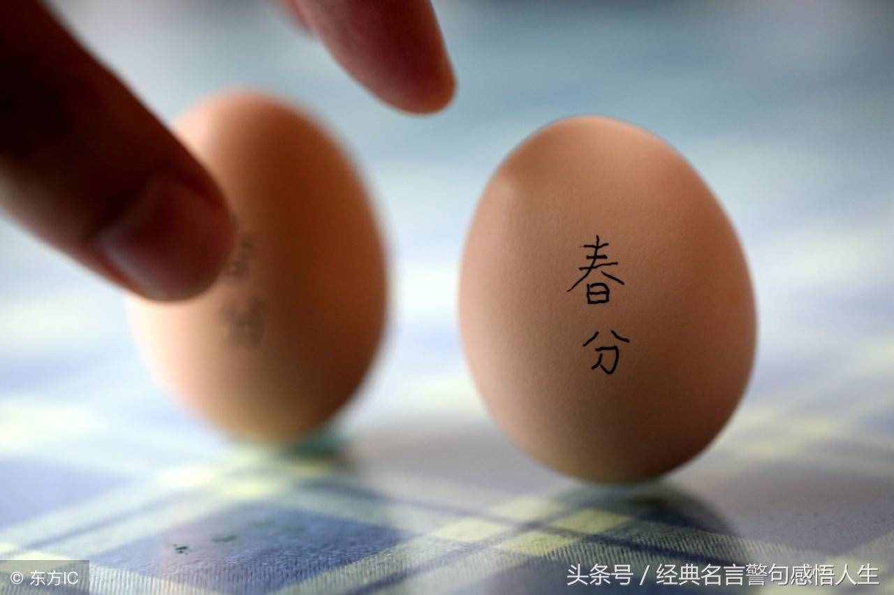 圣人千慮，必有一失；愚人千慮，必有一得