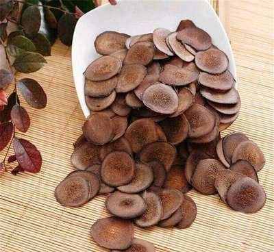 如何挑選優(yōu)質(zhì)鹿茸？